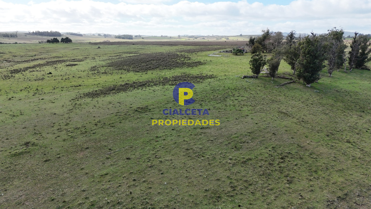292 hectáreas a 120 km de Montevideo con arroyo - GoPunta - Portal Inmobiliario de Punta del Este - Maldonado