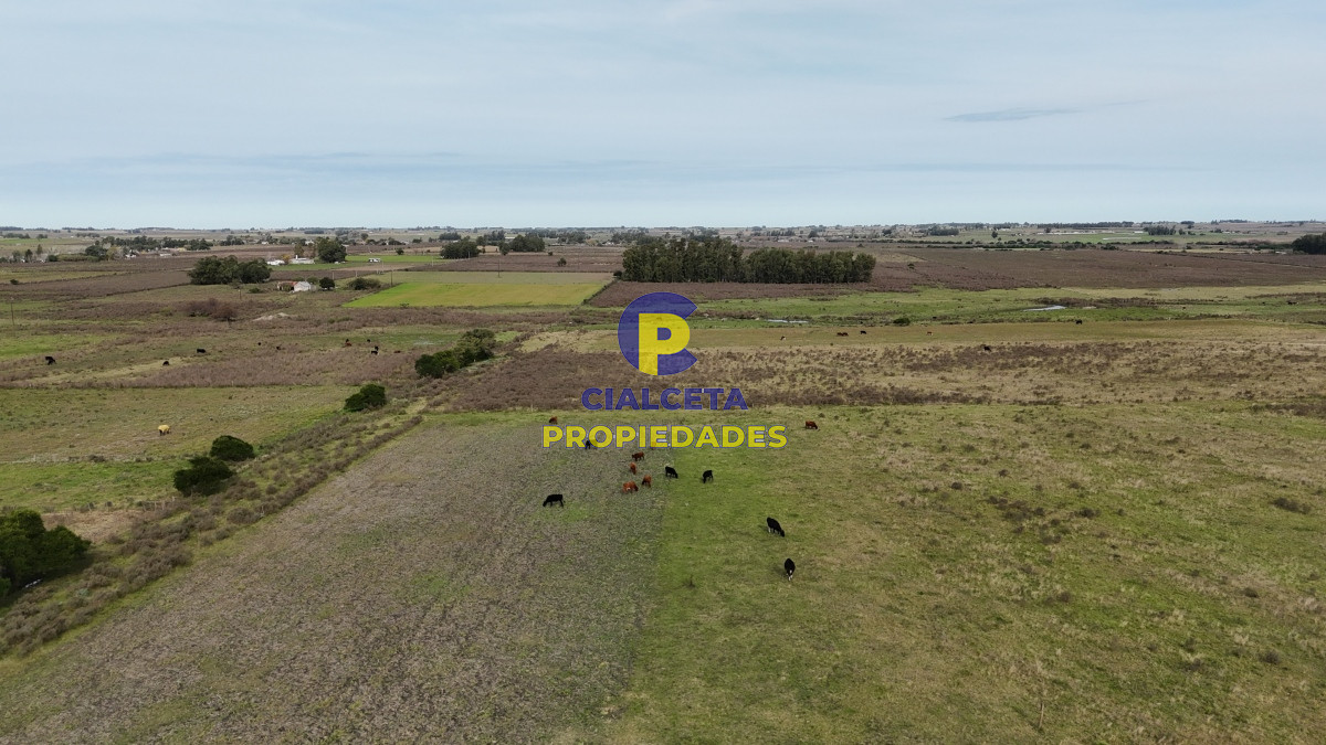 37 hectáreas sobre ruta, con excelente acceso - GoPunta - Portal Inmobiliario de Punta del Este - Maldonado