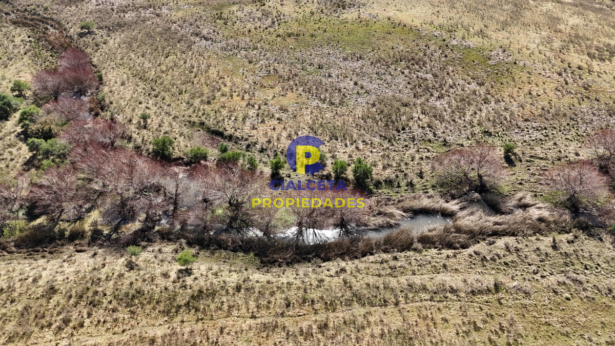 Campo Ref.500 - 92 hectáreas con cañada y buen acceso