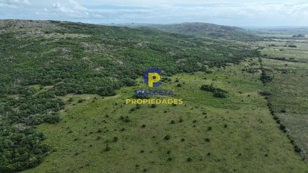 61 hectáreas en Maldonado - GoPunta - Portal Inmobiliario de Punta del Este - Maldonado