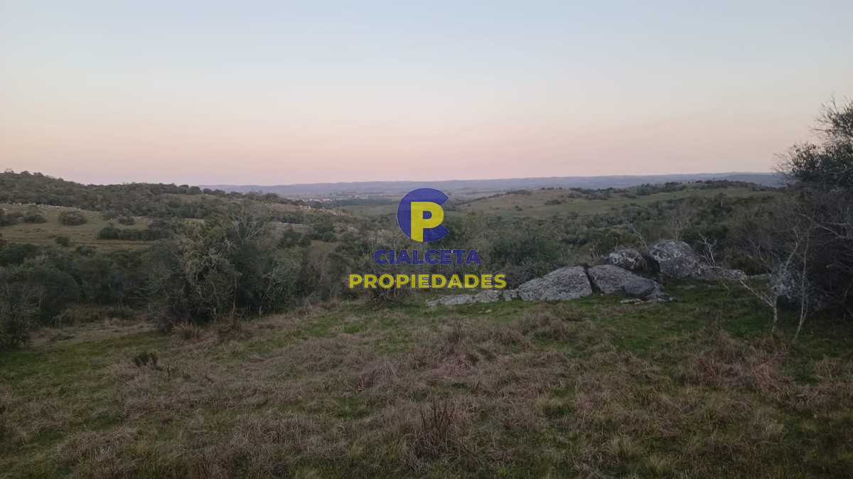 5  hectáreas con monte nativo y linda vista - GoPunta - Portal Inmobiliario de Punta del Este - Maldonado