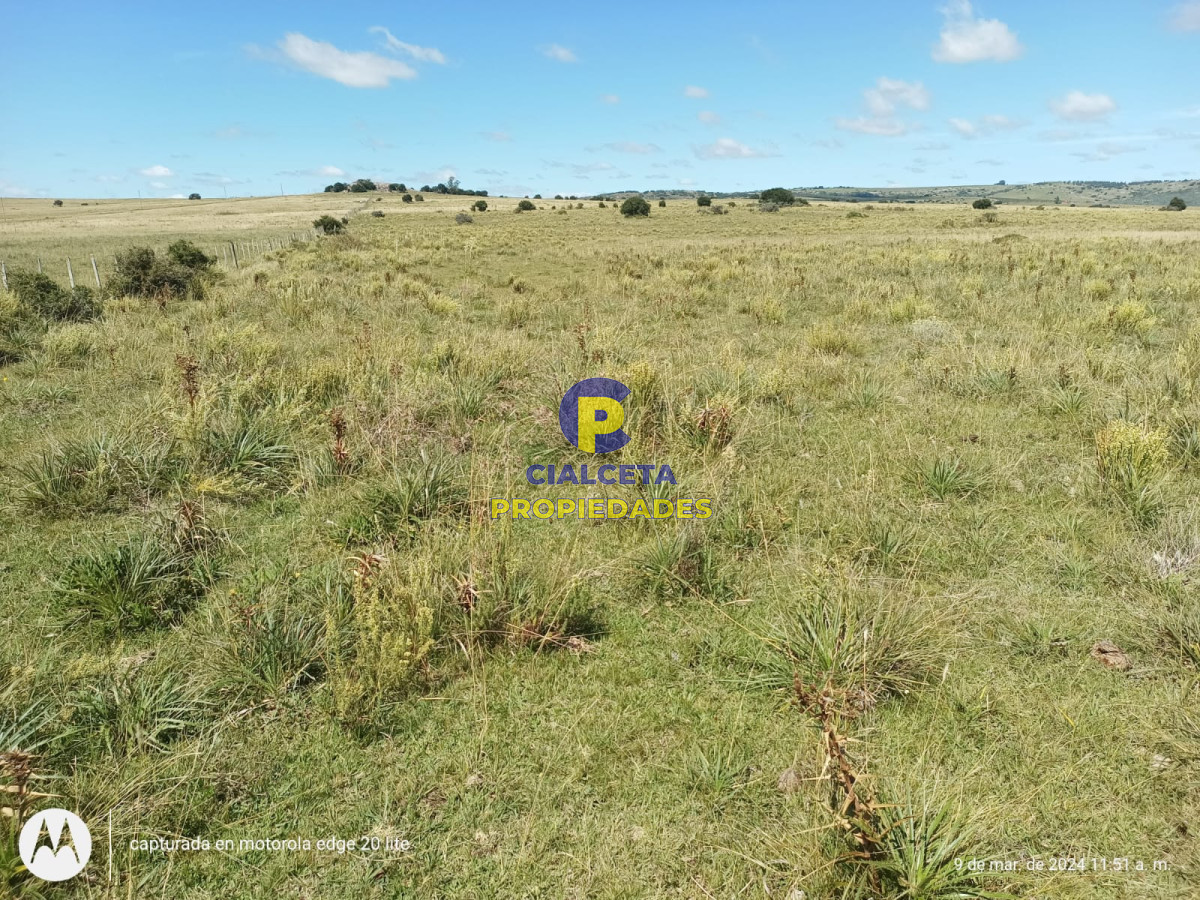 16 hectáreas en Minas a la venta - GoPunta - Portal Inmobiliario de Punta del Este - Maldonado
