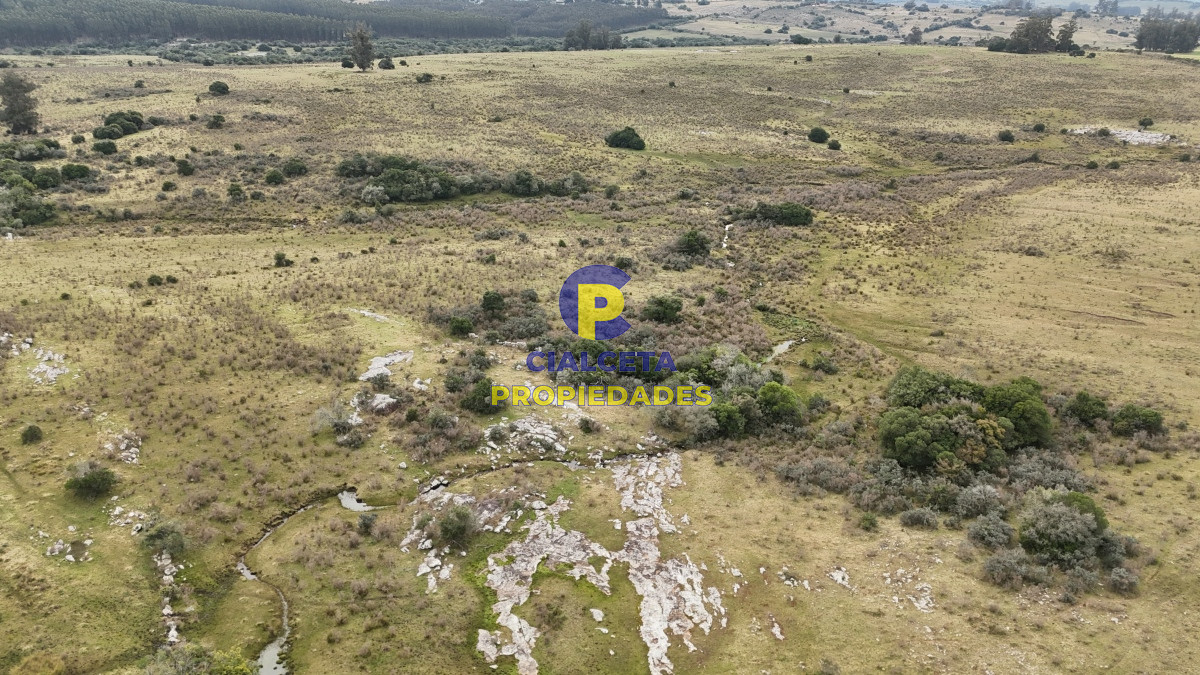 267 hectáreas en Maldonado - GoPunta - Portal Inmobiliario de Punta del Este - Maldonado