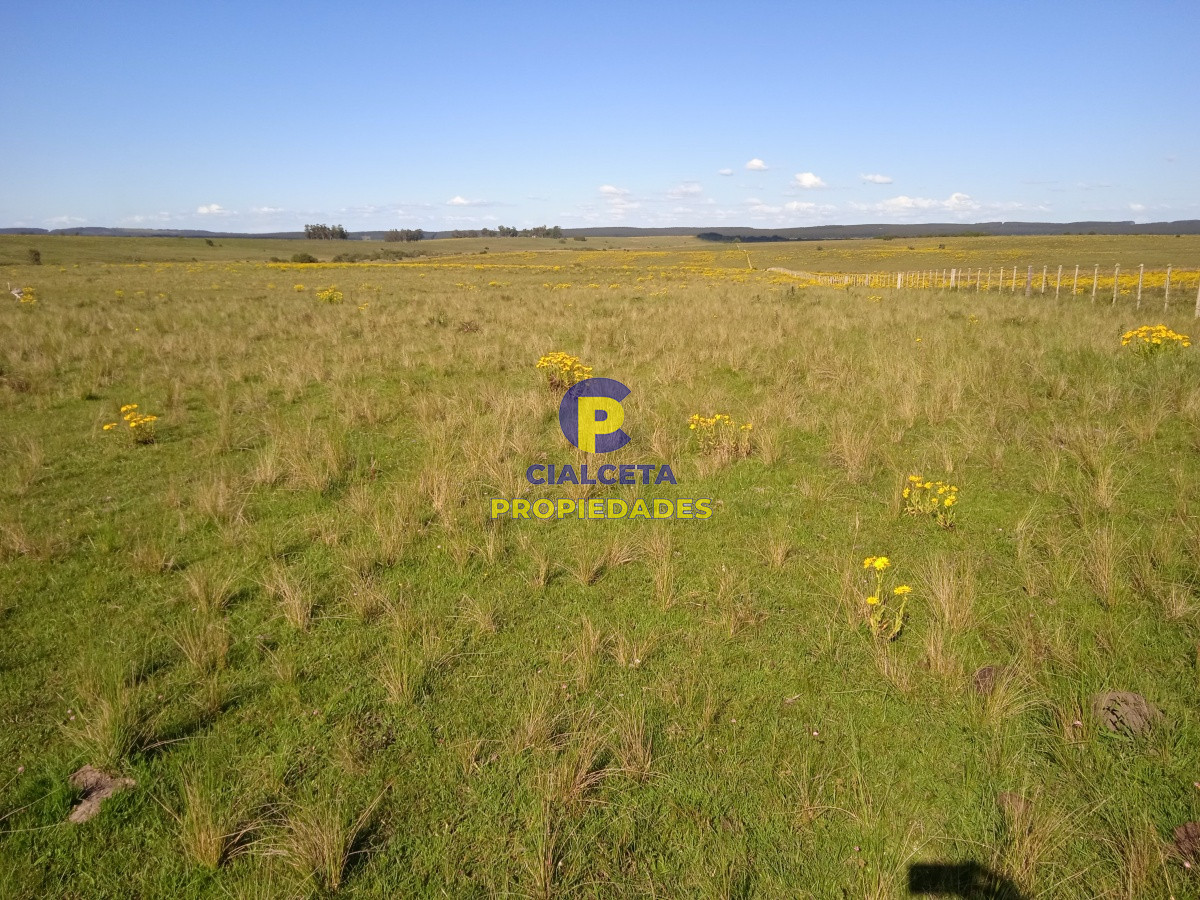 Campo Ref.95 - 202 hectáreas, campo bueno, natural