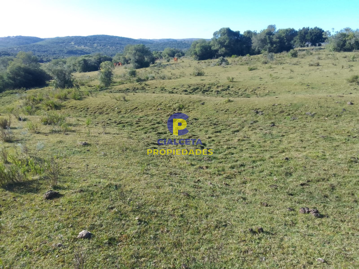41 hectáreas y media en Maldonado, Aigua - GoPunta - Portal Inmobiliario de Punta del Este - Maldonado