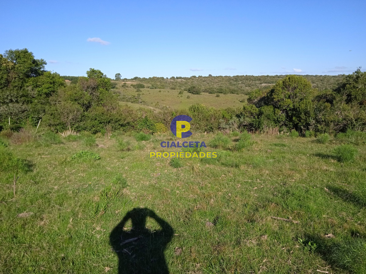 Campo Ref.96 - 155 hectáreas con casa, instalaciones
