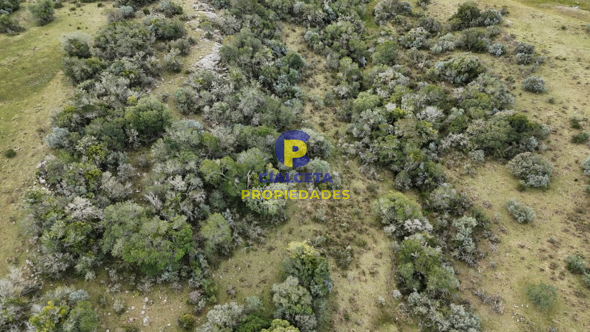 26 hectáreas y media con cañada - GoPunta - Portal Inmobiliario de Punta del Este - Maldonado