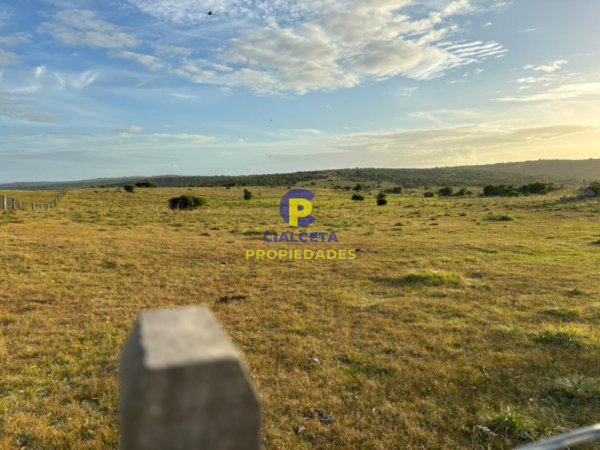 121 hectáreas en Rocha - GoPunta - Portal Inmobiliario de Punta del Este - Maldonado