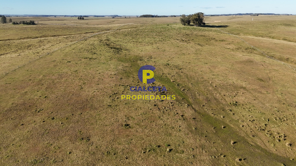 Campo Ref.469 - 19 hectáreas en Maldonado