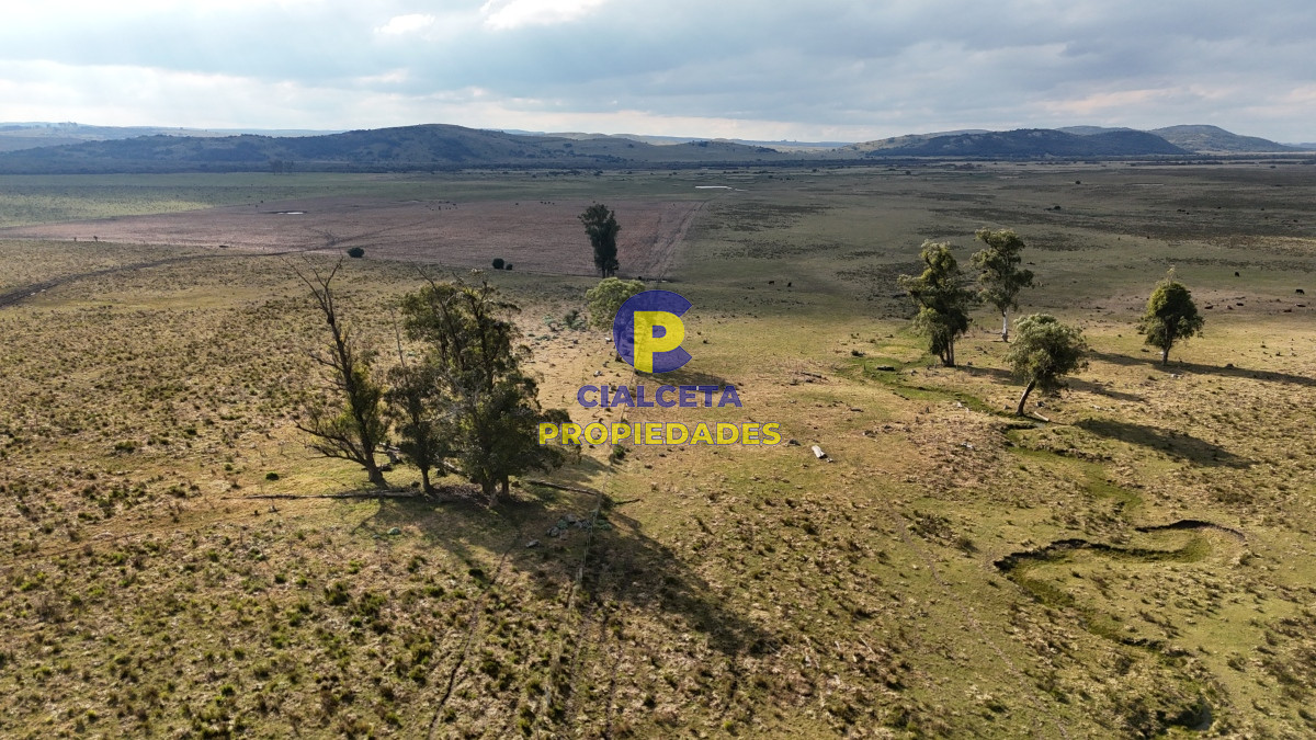 273 hectáreas en Maldonado - GoPunta - Portal Inmobiliario de Punta del Este - Maldonado