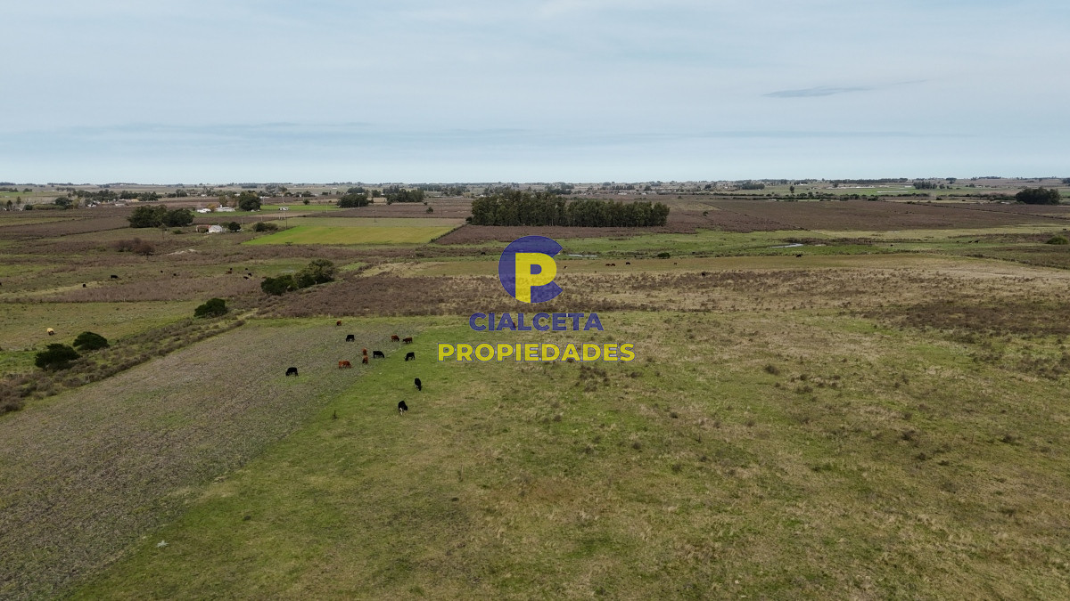 37 hectáreas sobre ruta, con excelente acceso - GoPunta - Portal Inmobiliario de Punta del Este - Maldonado