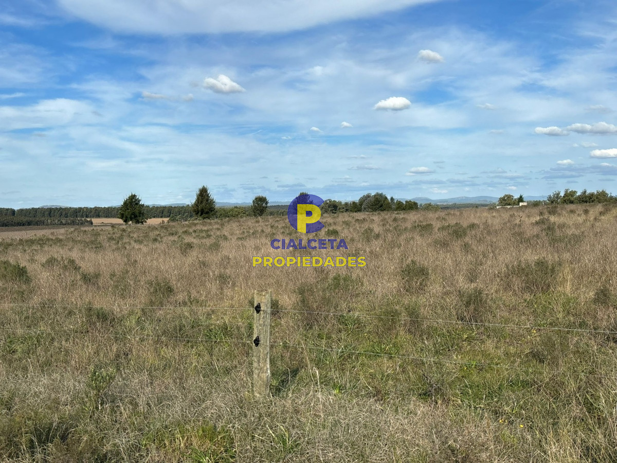 15 hectáreas de buena tierra - GoPunta - Portal Inmobiliario de Punta del Este - Maldonado