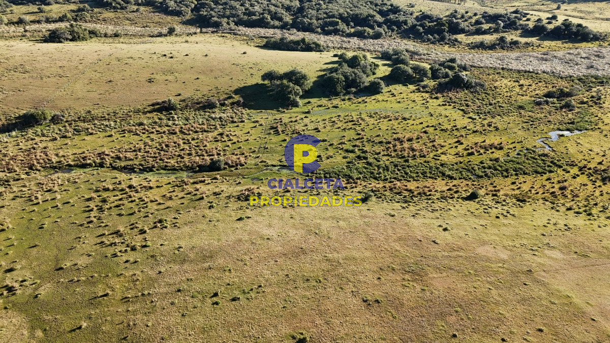 Campo Ref.469 - 19 hectáreas en Maldonado