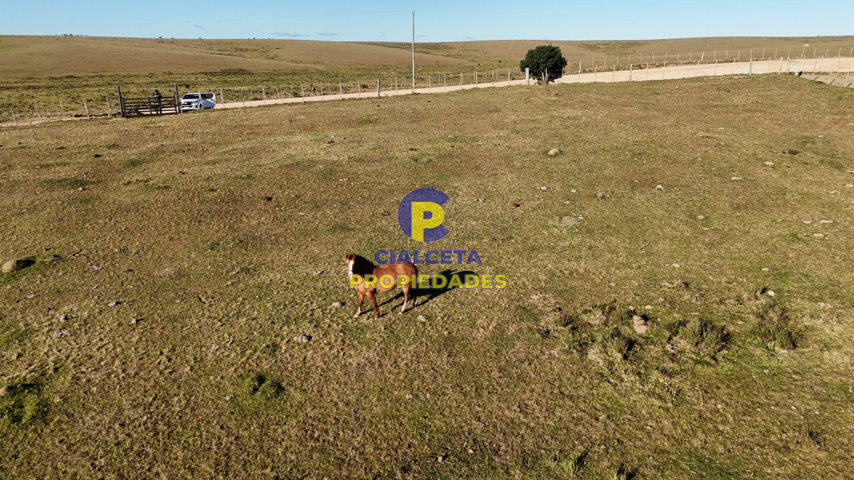 Campo Ref.469 - 19 hectáreas en Maldonado
