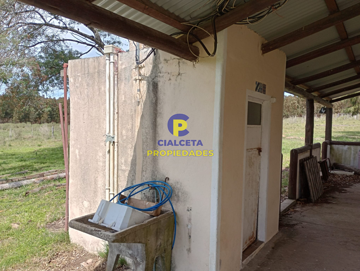 73 hectáreas en Canelones - GoPunta - Portal Inmobiliario de Punta del Este - Maldonado