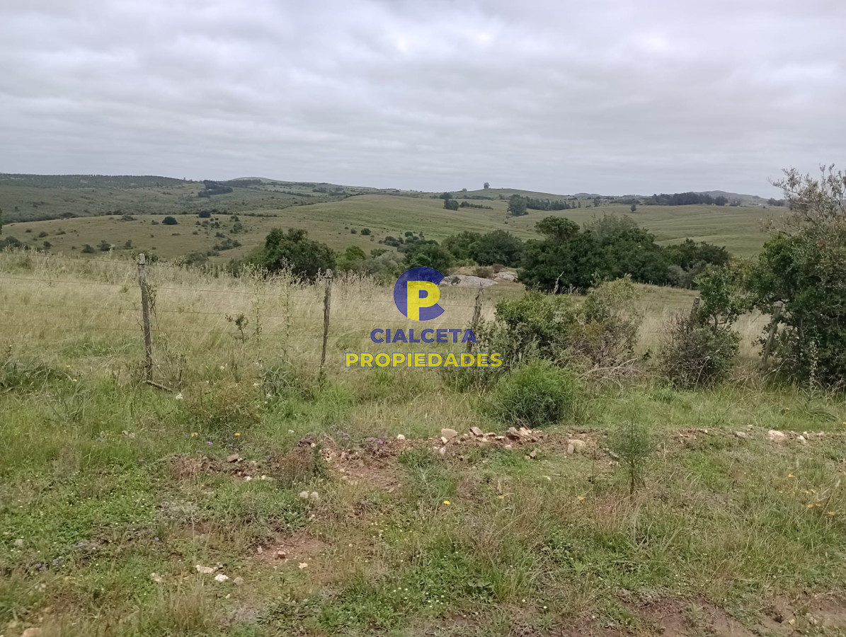 95 hectáreas en Carapé - GoPunta - Portal Inmobiliario de Punta del Este - Maldonado