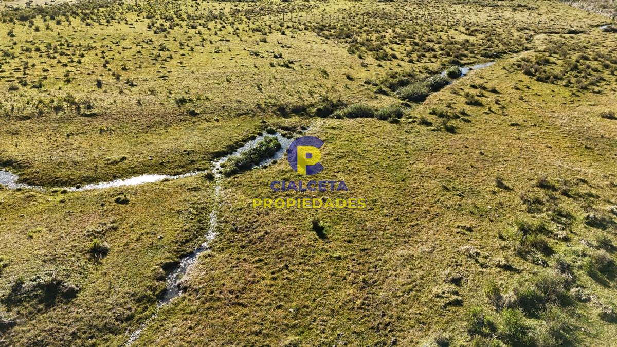 Campo Ref.469 - 19 hectáreas en Maldonado
