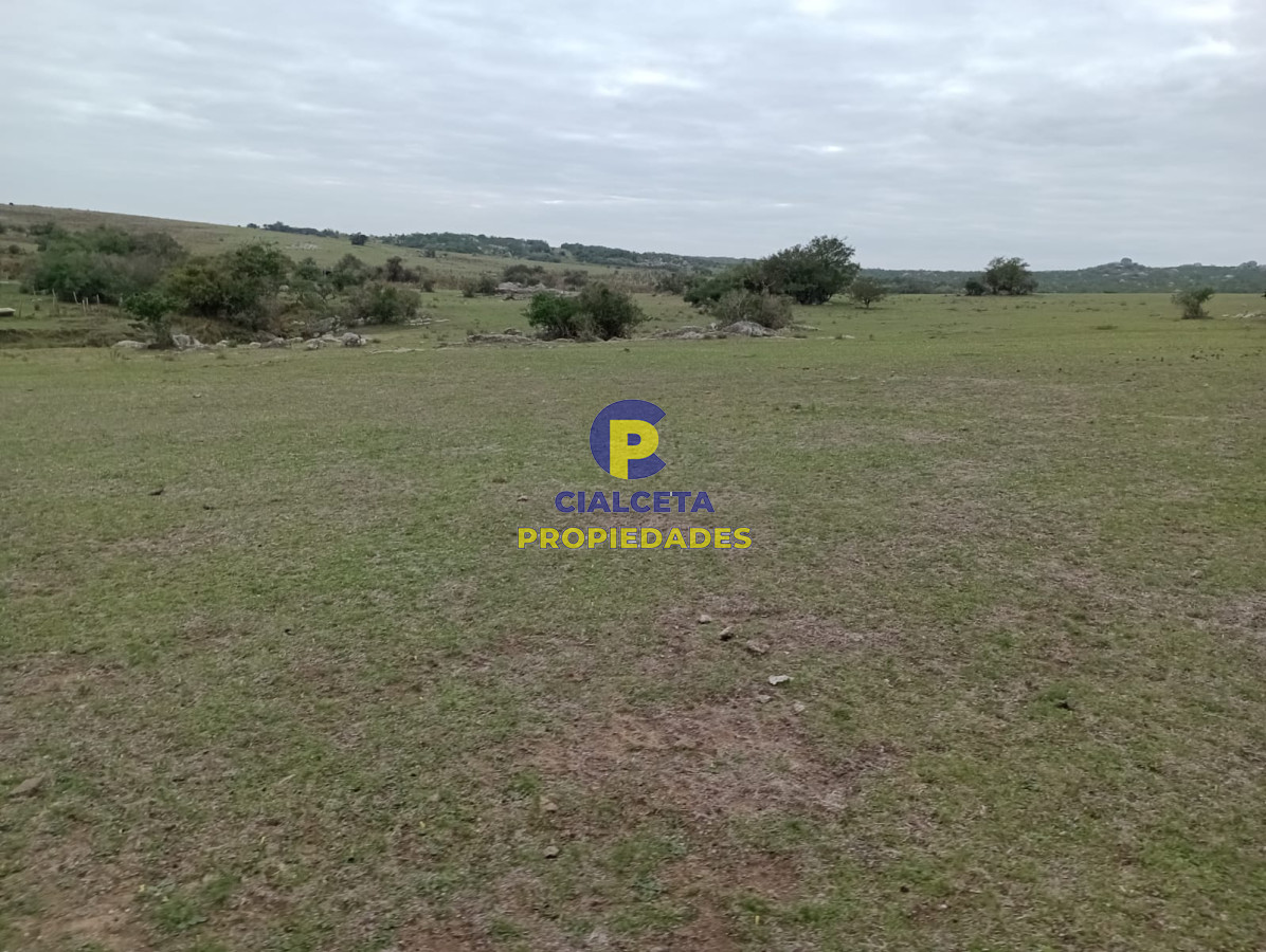 Campo Ref.217 - 664 hectáreas en Colonia