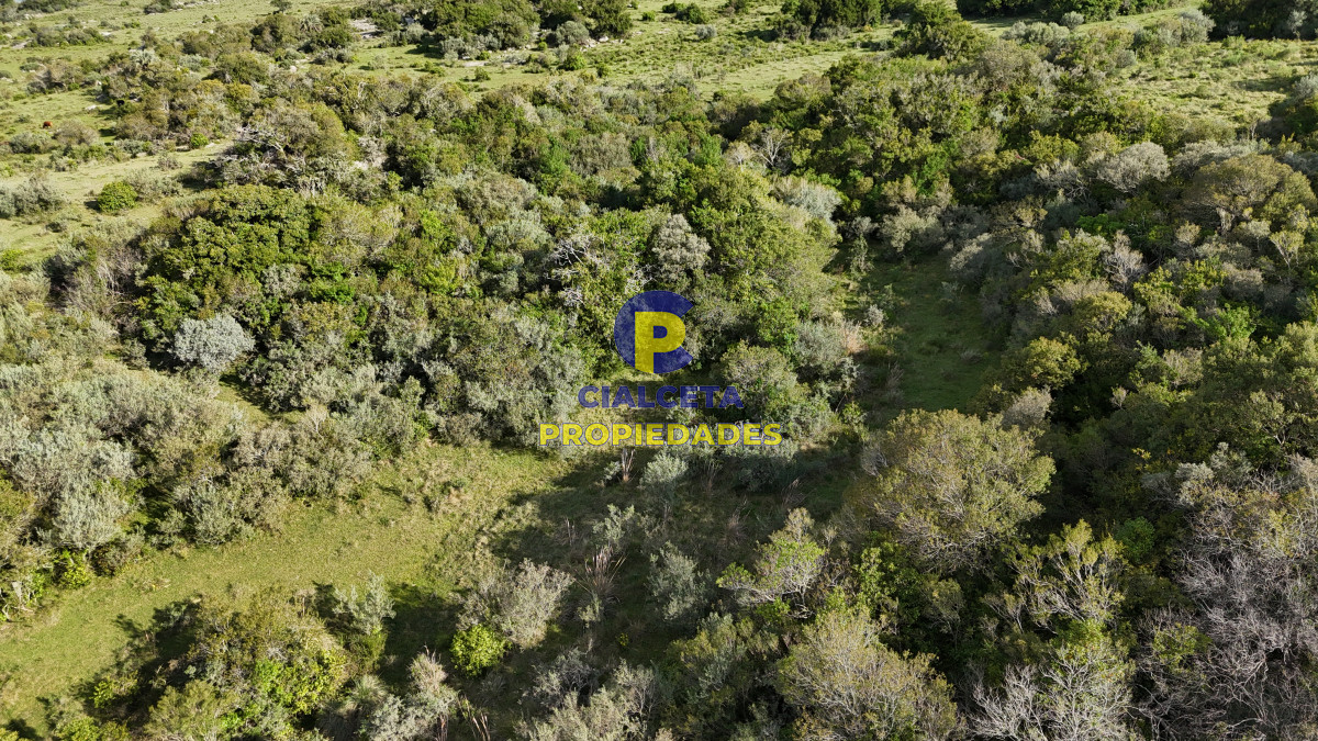 30 hectáreas a 35 km de San Carlos - GoPunta - Portal Inmobiliario de Punta del Este - Maldonado