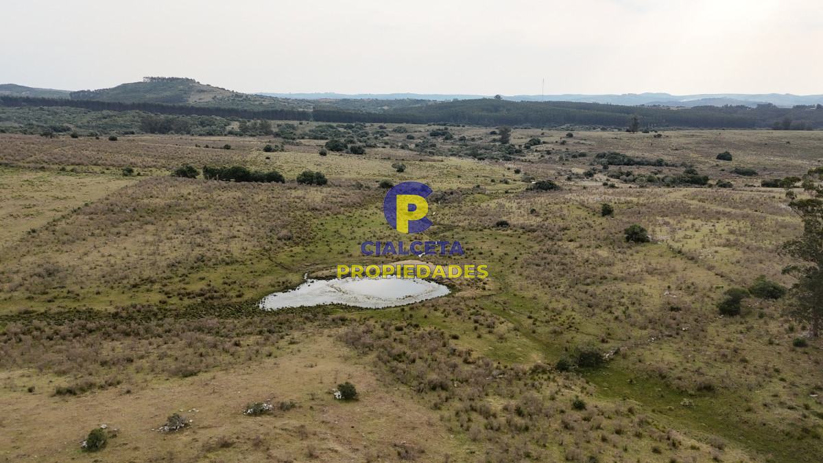 267 hectáreas en Maldonado - GoPunta - Portal Inmobiliario de Punta del Este - Maldonado