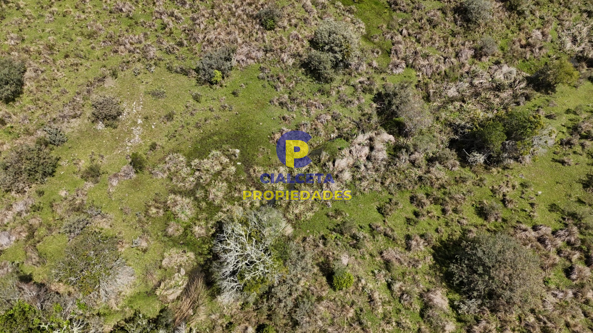 3 hectáreas con cañada a 25 km de San Carlos, financiadas - GoPunta - Portal Inmobiliario de Punta del Este - Maldonado