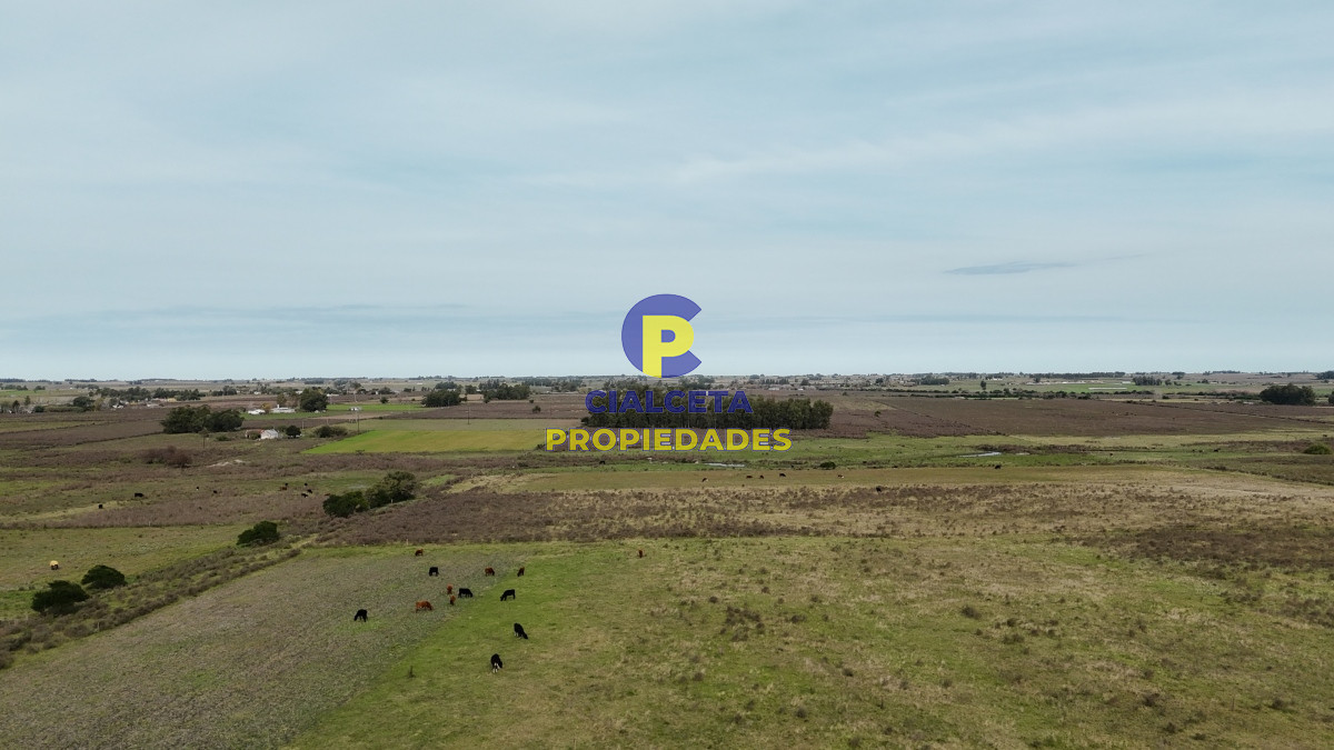 37 hectáreas sobre ruta, con excelente acceso - GoPunta - Portal Inmobiliario de Punta del Este - Maldonado