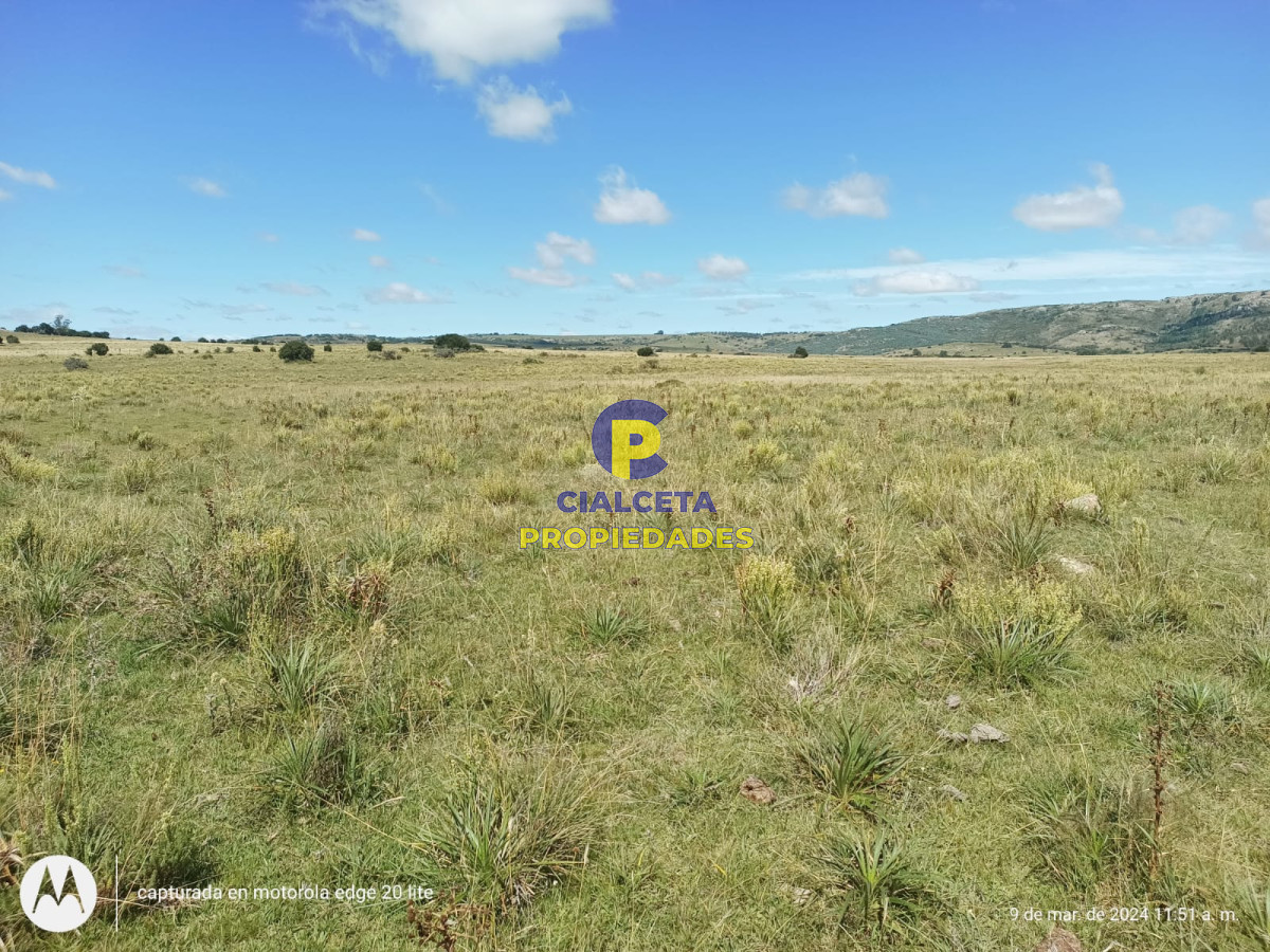 16 hectáreas en Minas a la venta - GoPunta - Portal Inmobiliario de Punta del Este - Maldonado