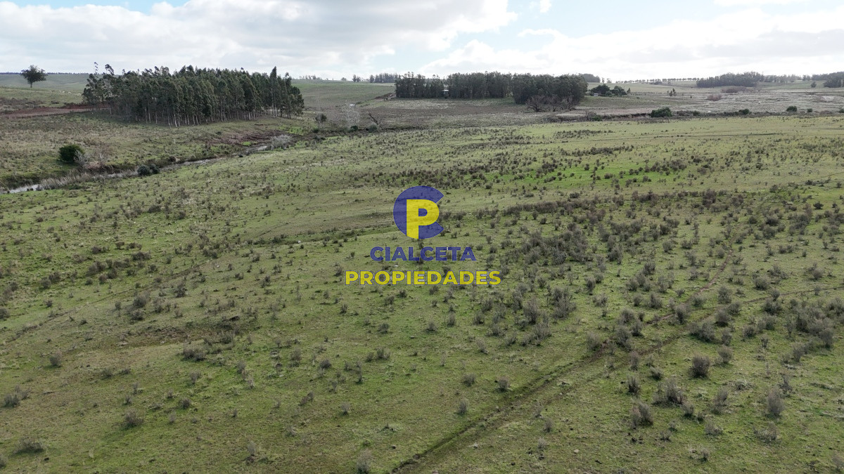 292 hectáreas a 120 km de Montevideo con arroyo - GoPunta - Portal Inmobiliario de Punta del Este - Maldonado