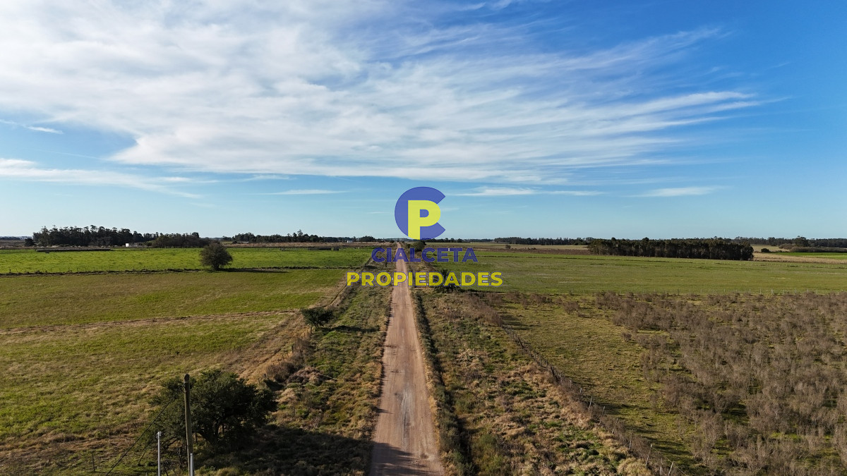 267 hectáreas en Maldonado - GoPunta - Portal Inmobiliario de Punta del Este - Maldonado