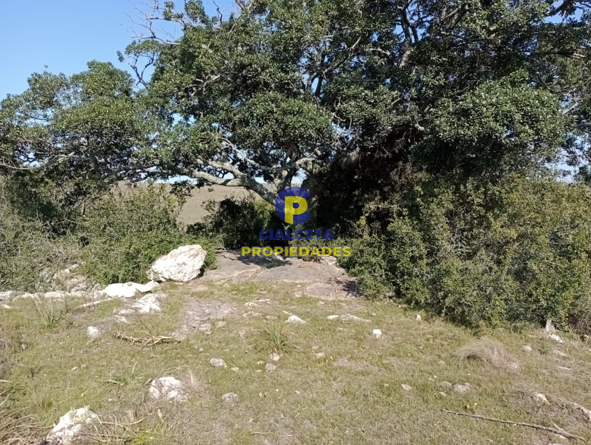 7 hectáreas en Maldonado, sobre camino - GoPunta - Portal Inmobiliario de Punta del Este - Maldonado