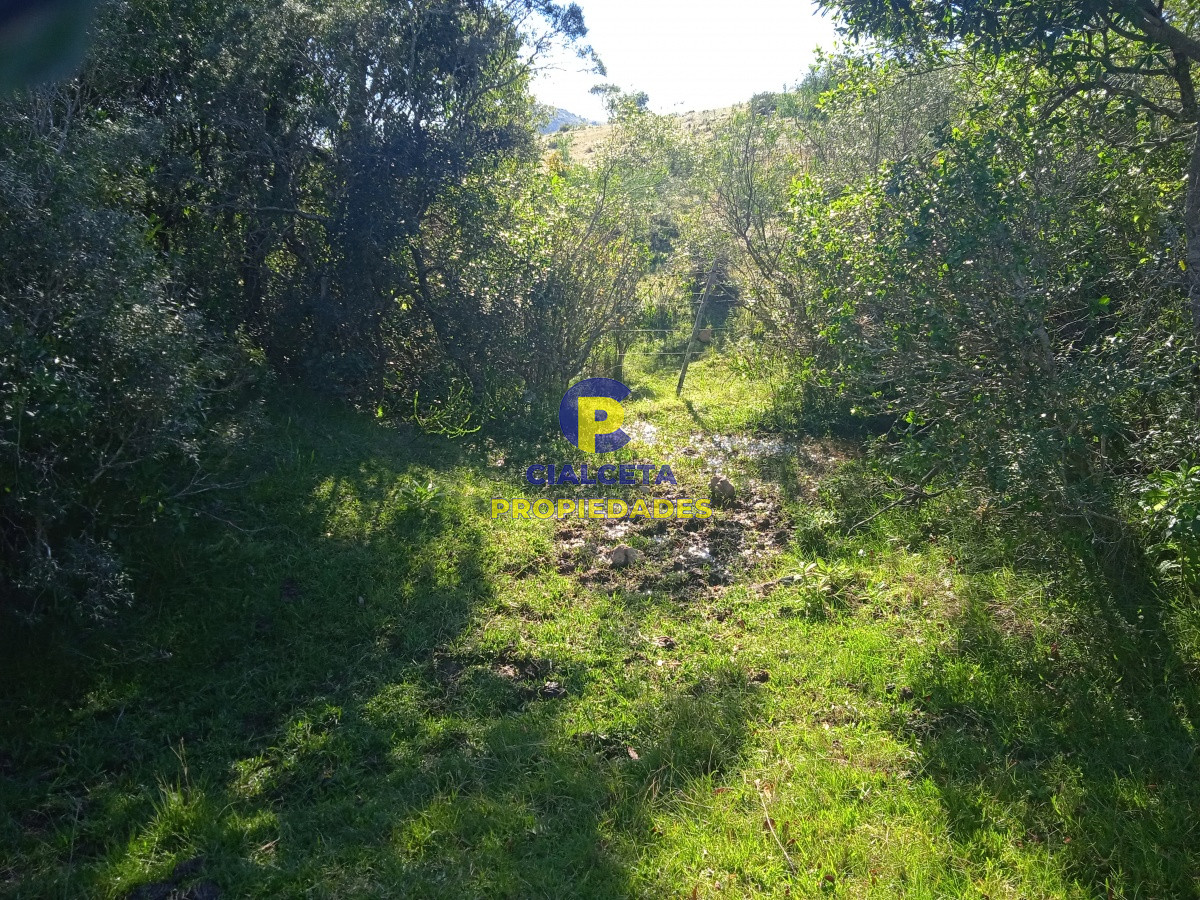 5 hectáreas, Las Palmas - GoPunta - Portal Inmobiliario de Punta del Este - Maldonado