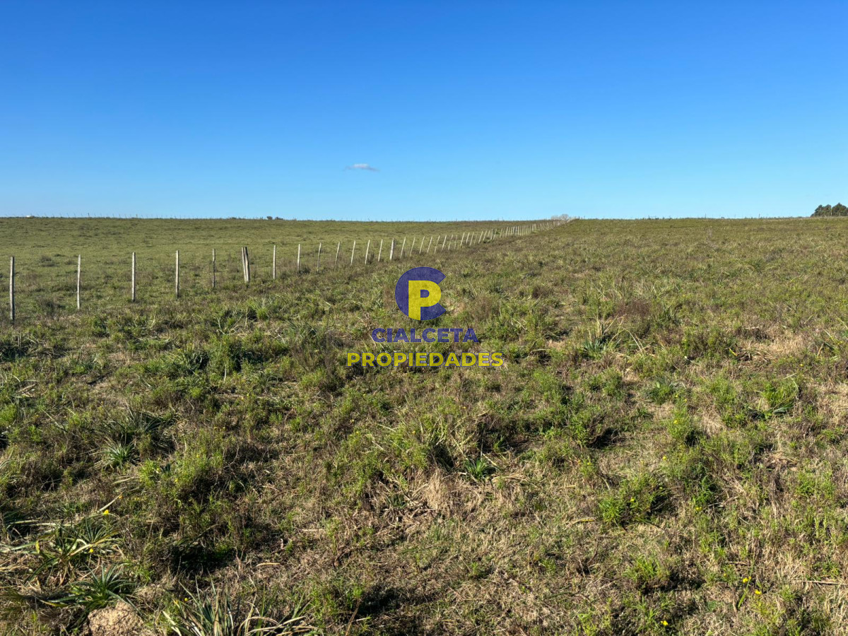 15 hectáreas y media con arroyo - GoPunta - Portal Inmobiliario de Punta del Este - Maldonado