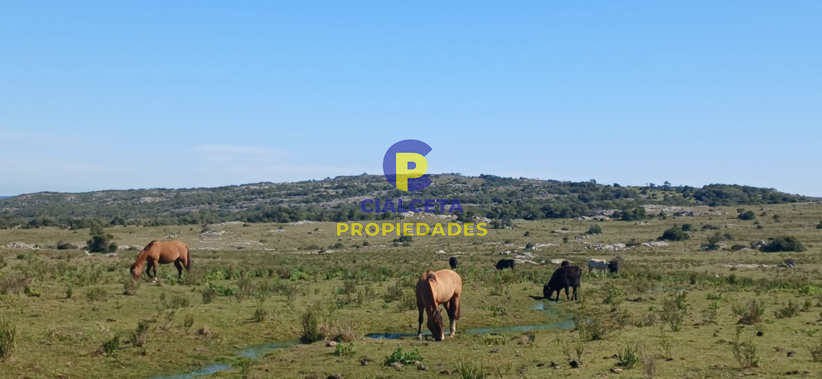 268 hectáreas en Lavalleja,turístico - GoPunta - Portal Inmobiliario de Punta del Este - Maldonado
