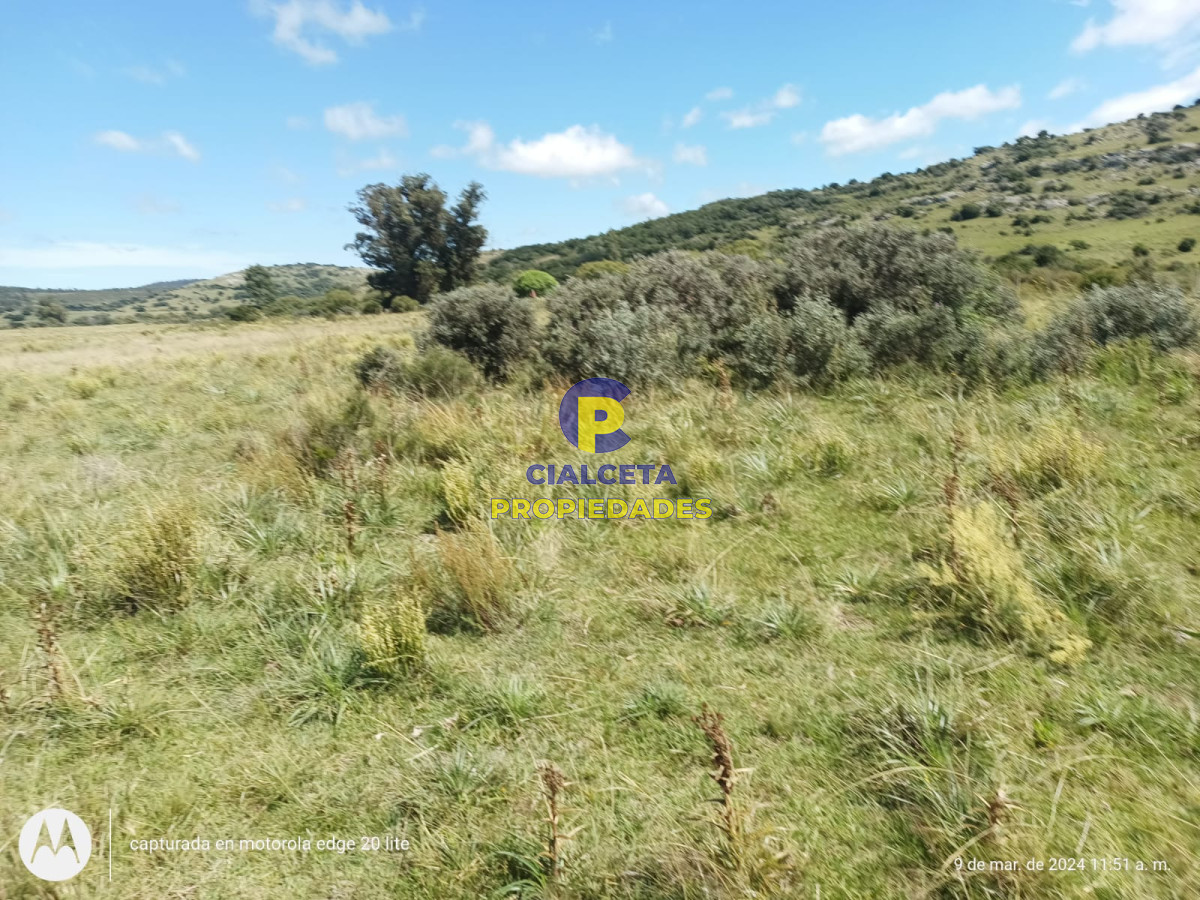 16 hectáreas en Minas a la venta - GoPunta - Portal Inmobiliario de Punta del Este - Maldonado