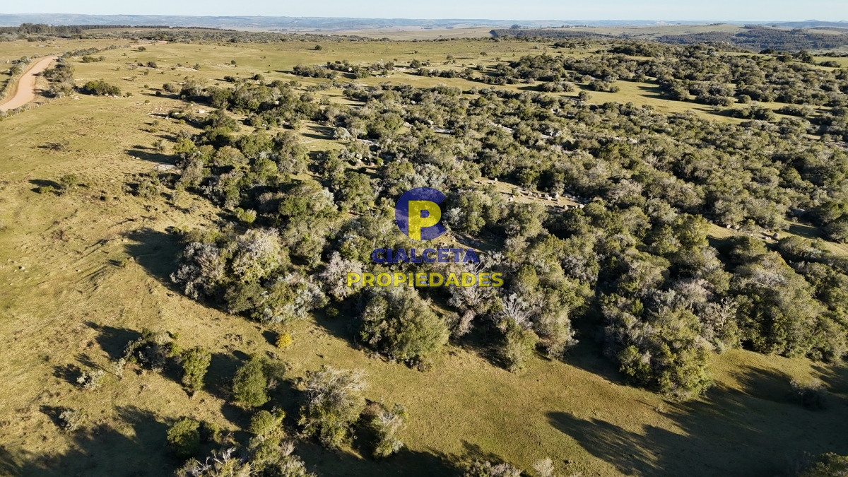 55 hectáreas con tajamar y monte nativo - GoPunta - Portal Inmobiliario de Punta del Este - Maldonado