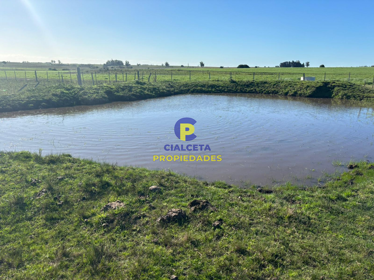 15 hectáreas y media con arroyo - GoPunta - Portal Inmobiliario de Punta del Este - Maldonado