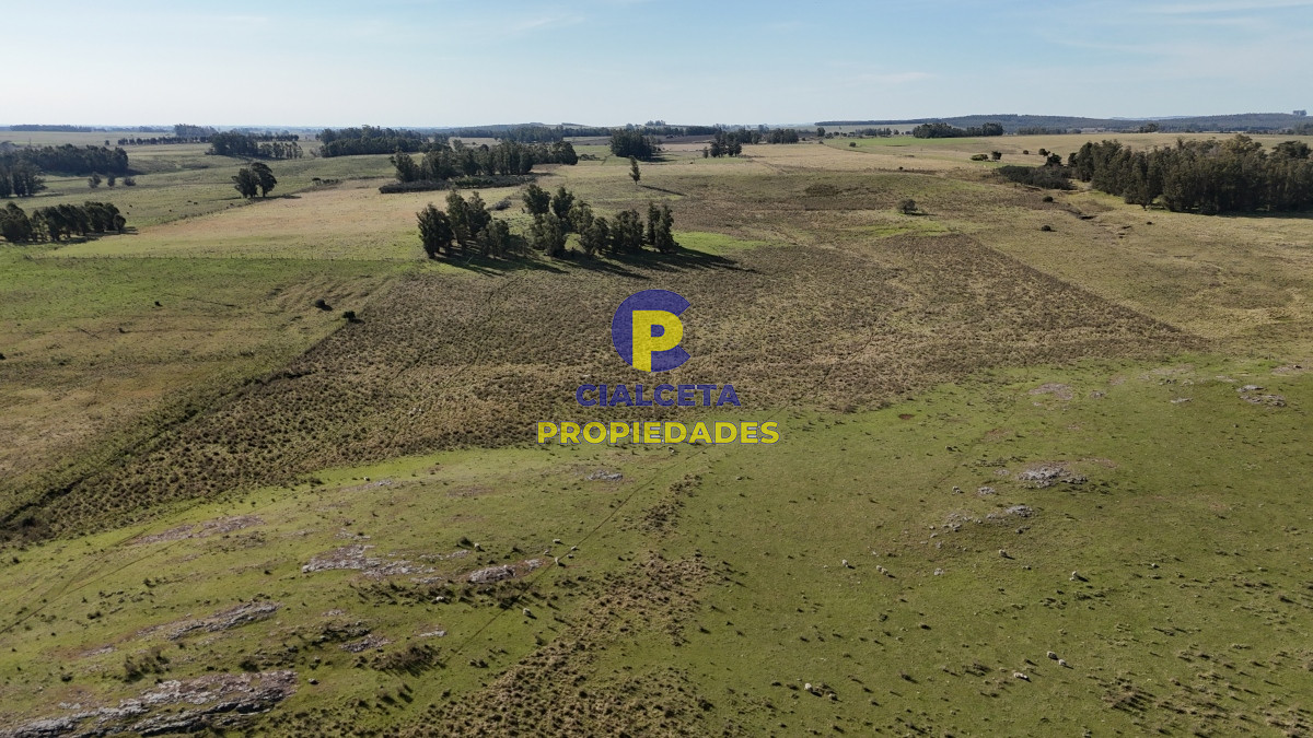 Campo Ref.497 - 40 hectáreas en Lavalleja a 10 km de Minas