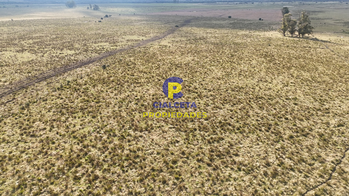 273 hectáreas en Maldonado - GoPunta - Portal Inmobiliario de Punta del Este - Maldonado