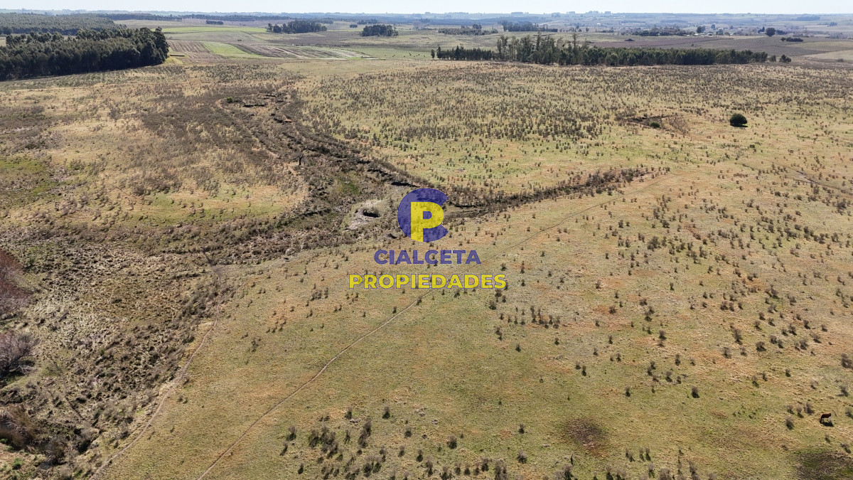 Campo Ref.500 - 92 hectáreas con cañada y buen acceso