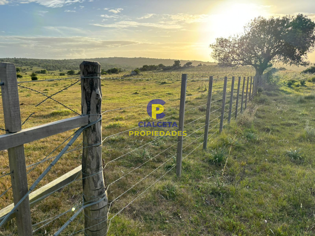 121 hectáreas en Rocha - GoPunta - Portal Inmobiliario de Punta del Este - Maldonado