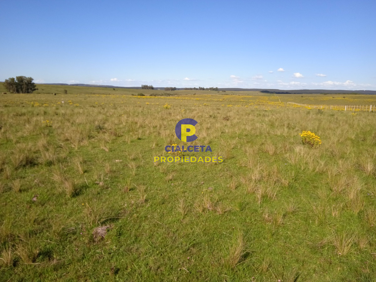 Campo Ref.95 - 202 hectáreas, campo bueno, natural