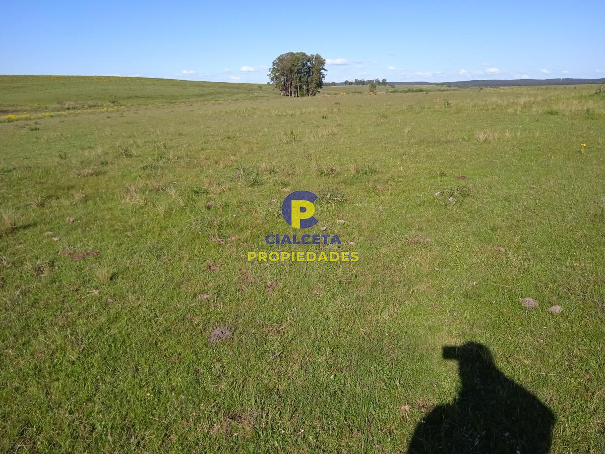 Campo Ref.95 - 202 hectáreas, campo bueno, natural