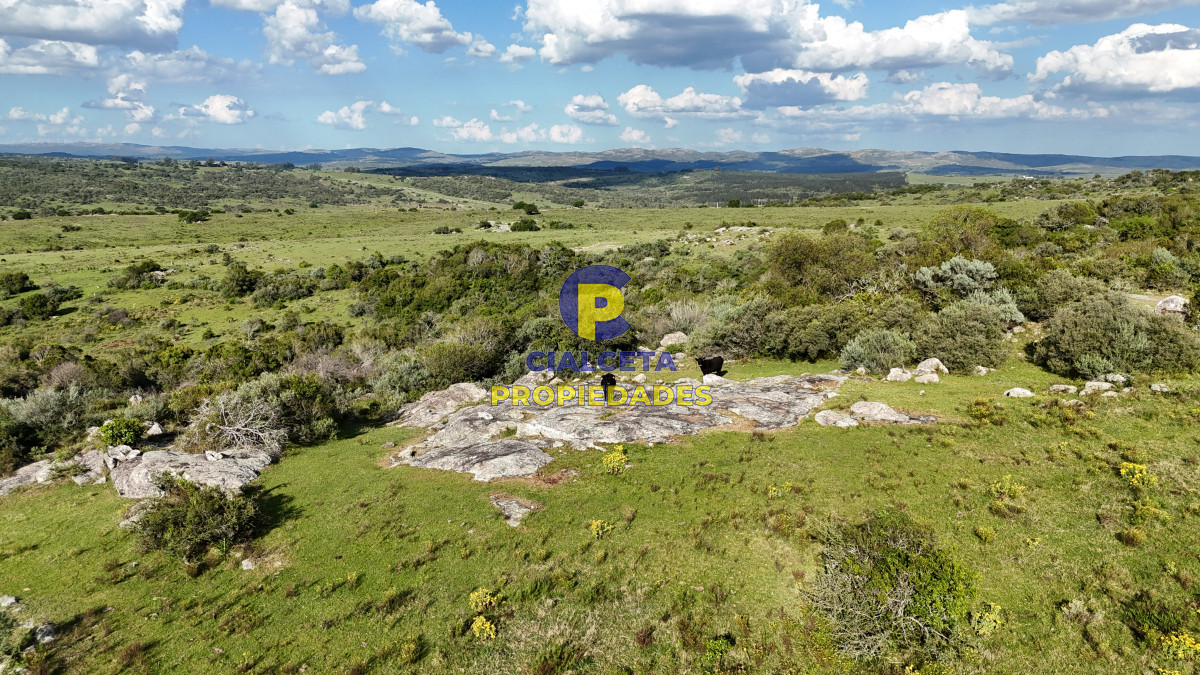 30 hectáreas a 35 km de San Carlos - GoPunta - Portal Inmobiliario de Punta del Este - Maldonado