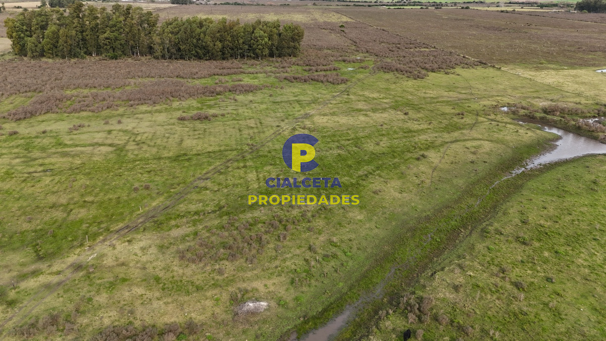 37 hectáreas sobre ruta, con excelente acceso - GoPunta - Portal Inmobiliario de Punta del Este - Maldonado
