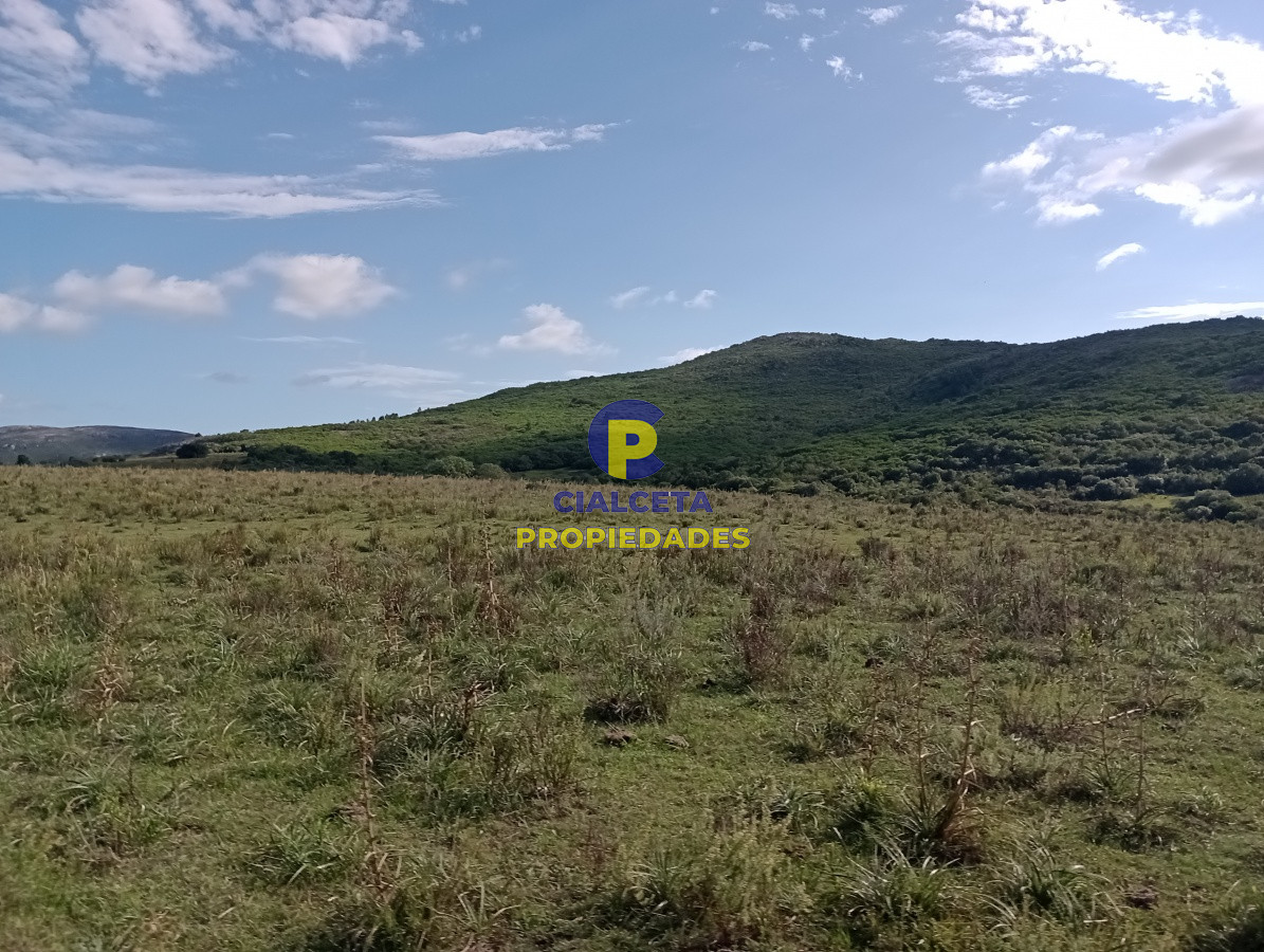 Campo Ref.140 - 153 hectáreas en Maldonado
