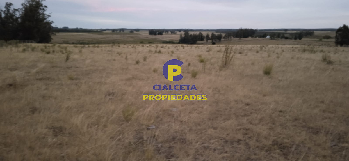 40 hectáreas en Lavalleja - GoPunta - Portal Inmobiliario de Punta del Este - Maldonado