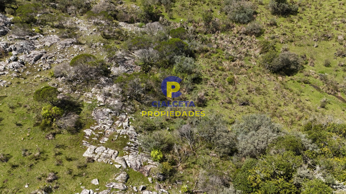 3 hectáreas con cañada a 25 km de San Carlos, financiadas - GoPunta - Portal Inmobiliario de Punta del Este - Maldonado