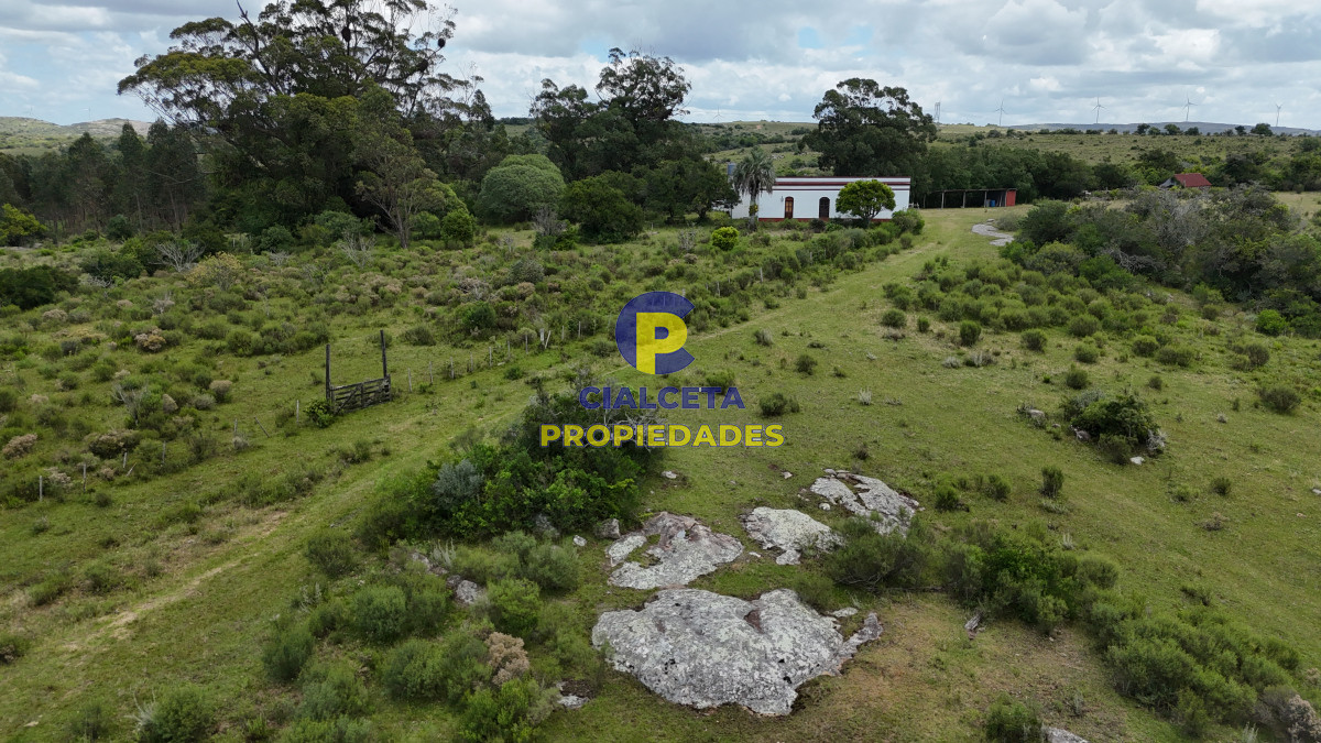 77 hectáreas en Maldonado, con casa - GoPunta - Portal Inmobiliario de Punta del Este - Maldonado