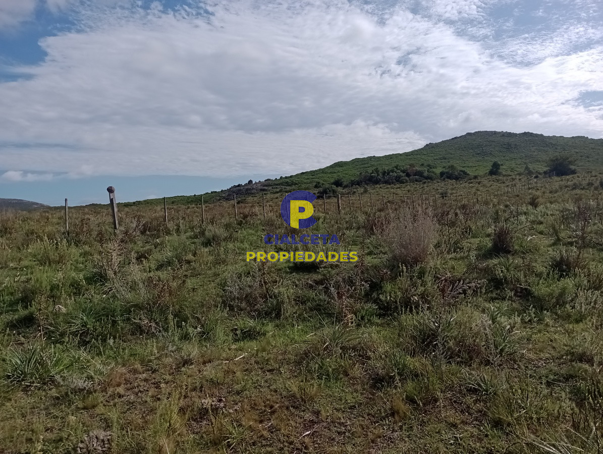 490 hectáreas en Maldonado - GoPunta - Portal Inmobiliario de Punta del Este - Maldonado