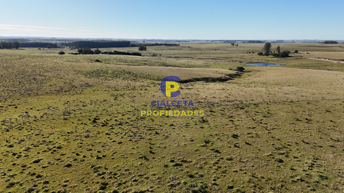 Campo Ref.469 - 19 hectáreas en Maldonado